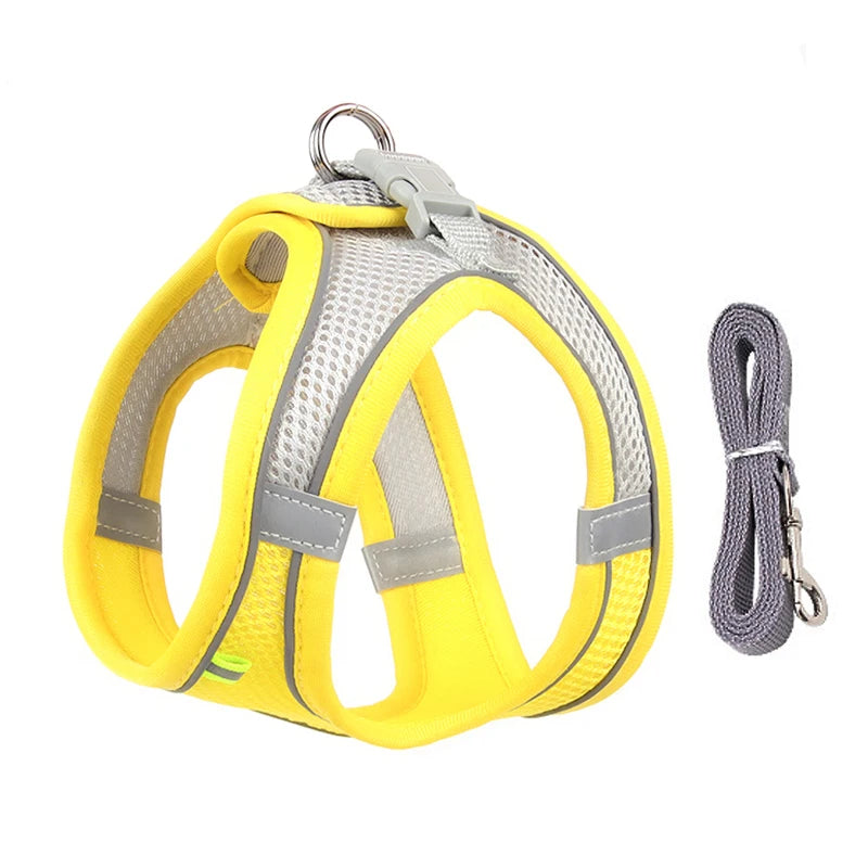 Dog Harness & Leash Set – Adjustable, Safe & Comfortable