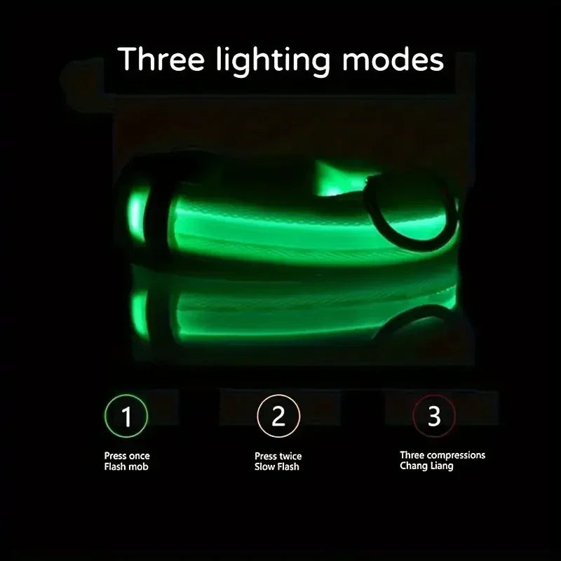 LED Safety Dog Collar – Rechargeable, Waterproof & Night Visibility