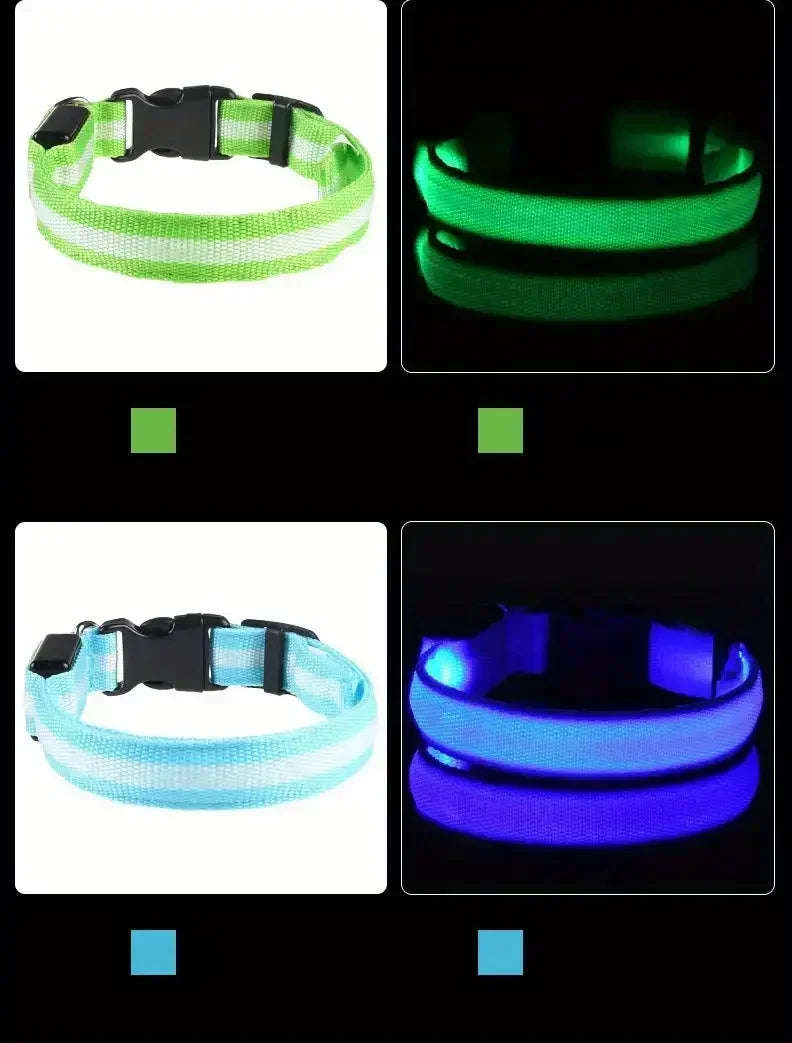 LED Safety Dog Collar – Rechargeable, Waterproof & Night Visibility
