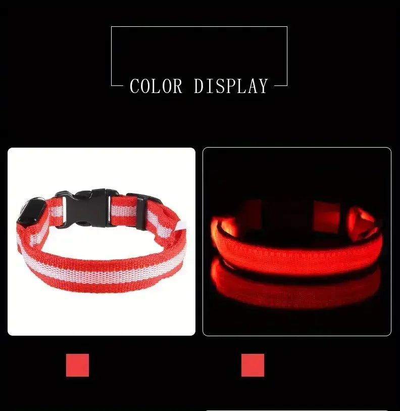 LED Safety Dog Collar – Rechargeable, Waterproof & Night Visibility