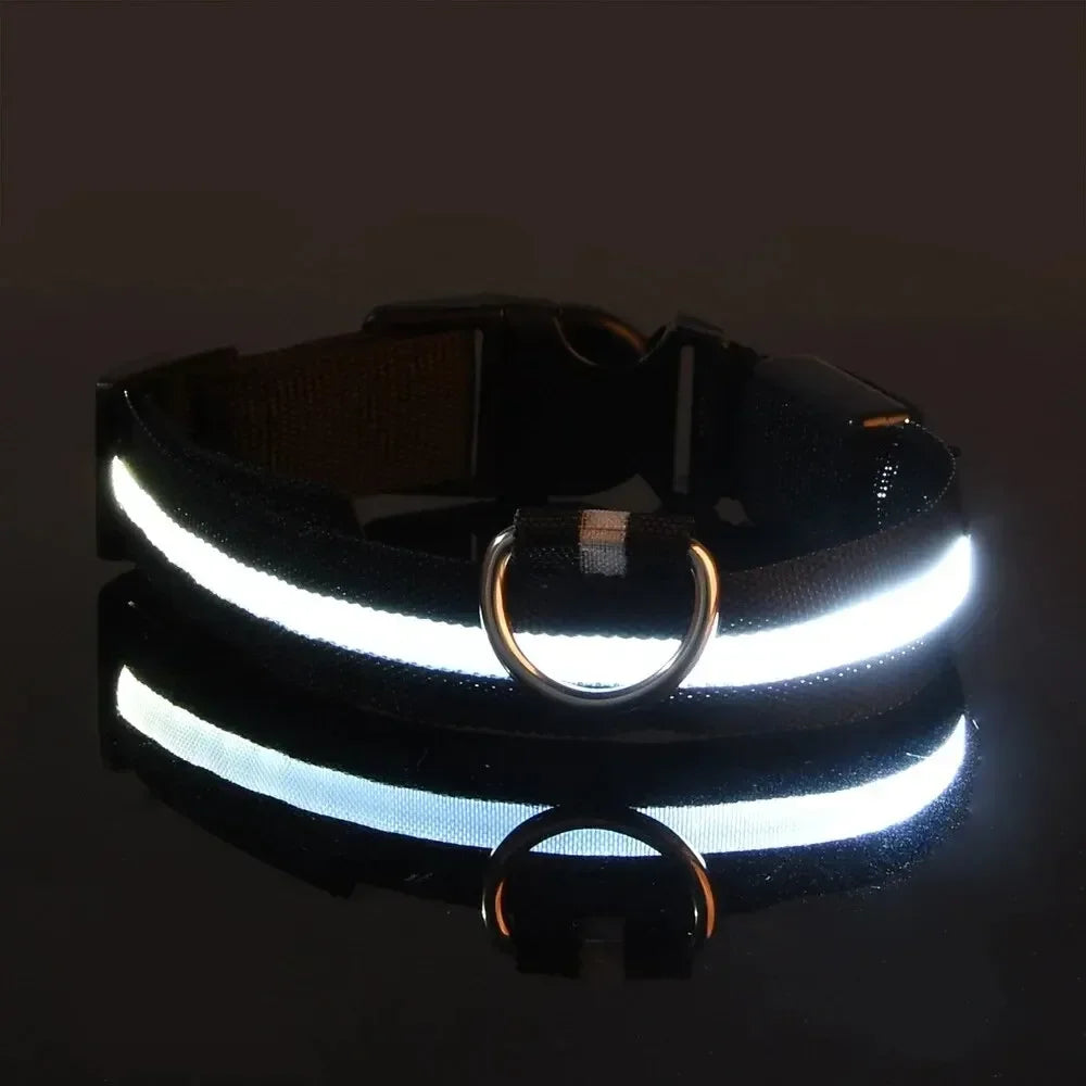 LED Safety Dog Collar – Rechargeable, Waterproof & Night Visibility