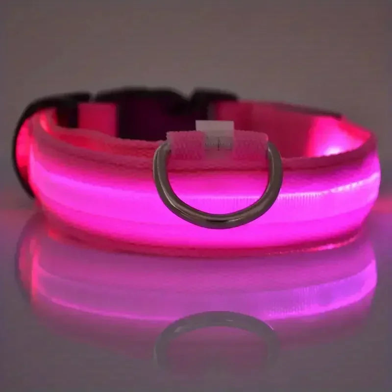 LED Safety Dog Collar – Rechargeable, Waterproof & Night Visibility