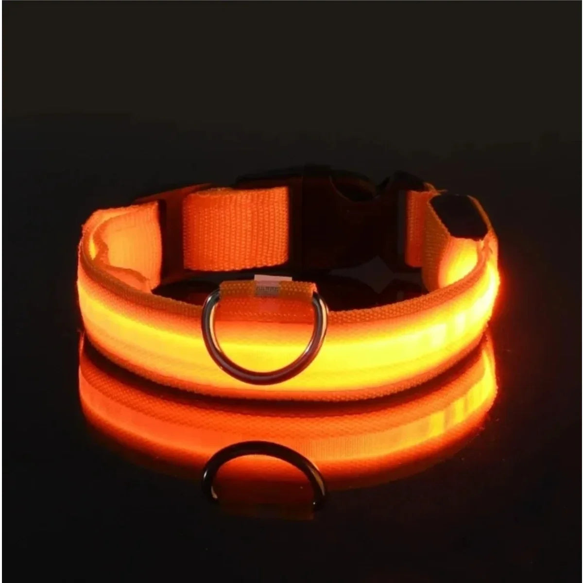 LED Safety Dog Collar – Rechargeable, Waterproof & Night Visibility