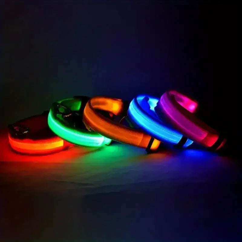 LED Safety Dog Collar – Rechargeable, Waterproof & Night Visibility