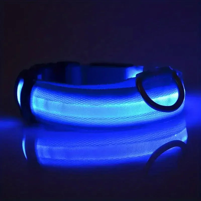 LED Safety Dog Collar – Rechargeable, Waterproof & Night Visibility