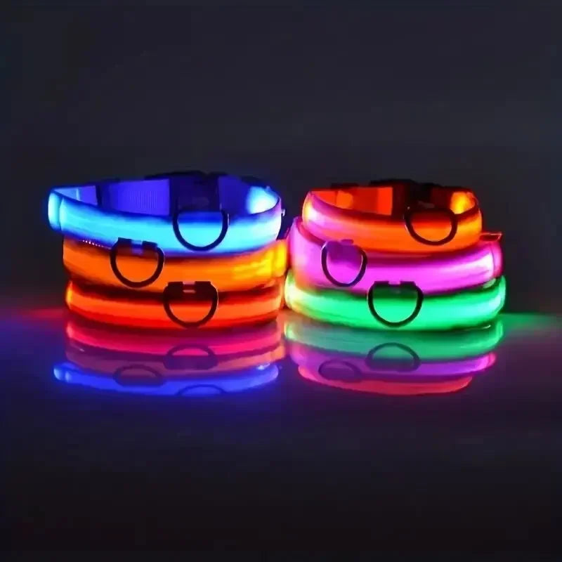 LED Safety Dog Collar – Rechargeable, Waterproof & Night Visibility