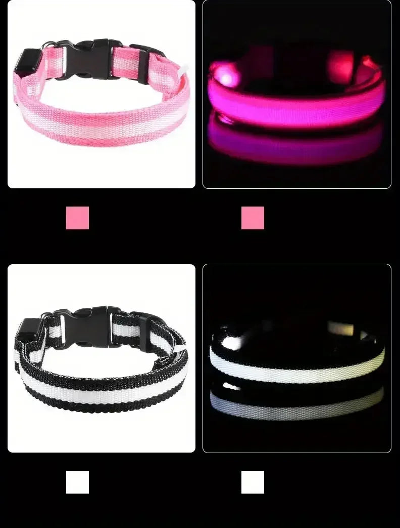 LED Safety Dog Collar – Rechargeable, Waterproof & Night Visibility