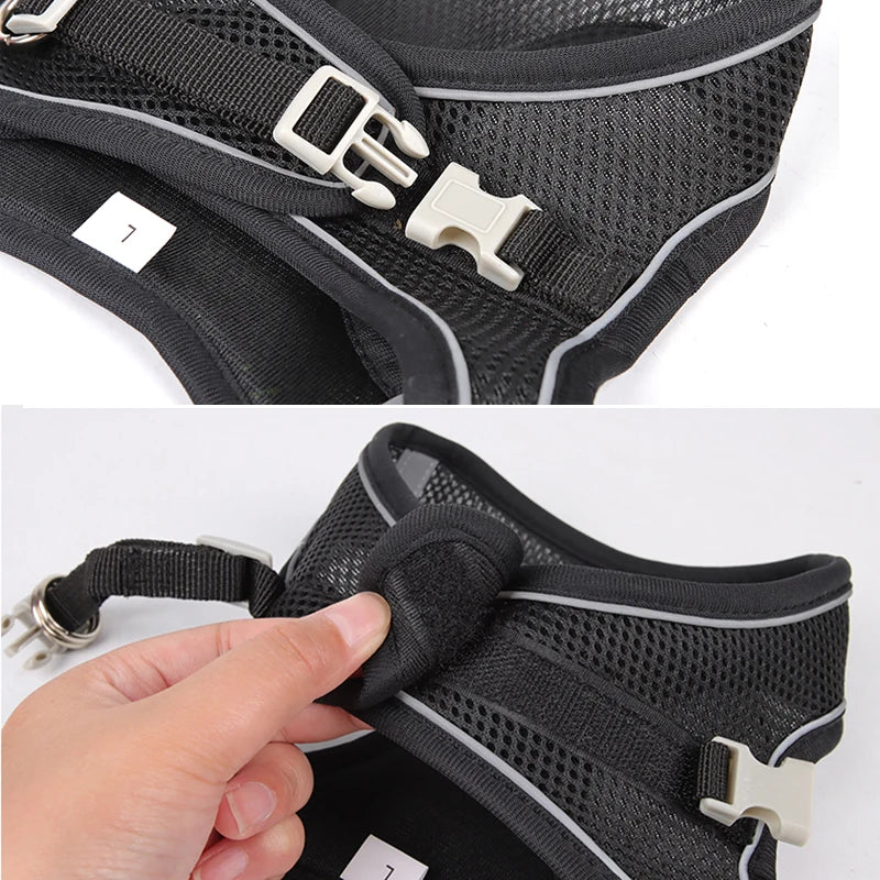 Dog Harness & Leash Set – Adjustable, Safe & Comfortable
