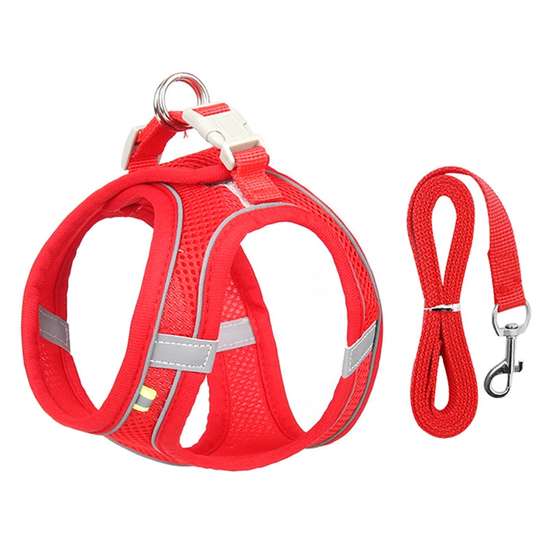 Dog Harness & Leash Set – Adjustable, Safe & Comfortable