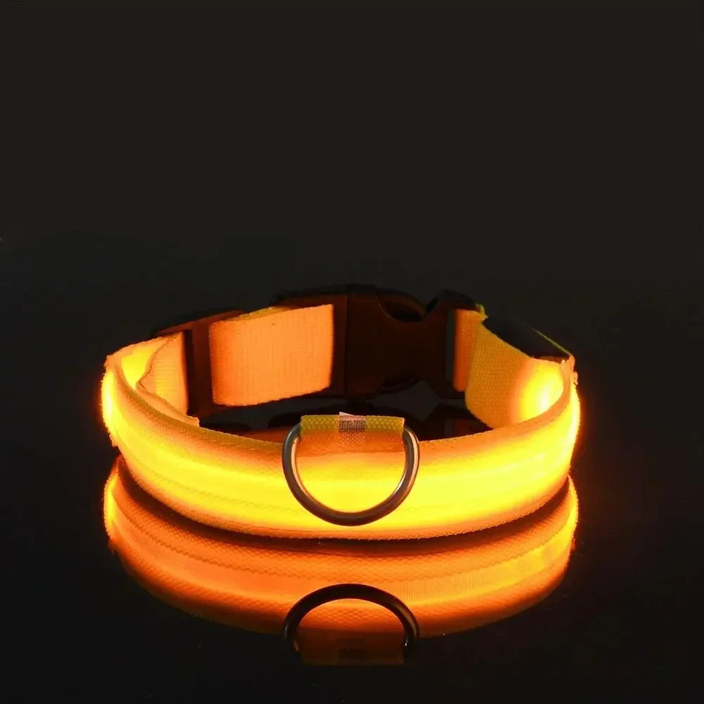 LED Safety Dog Collar – Rechargeable, Waterproof & Night Visibility