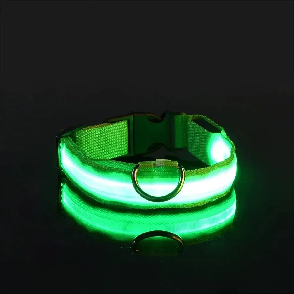 LED Safety Dog Collar – Rechargeable, Waterproof & Night Visibility