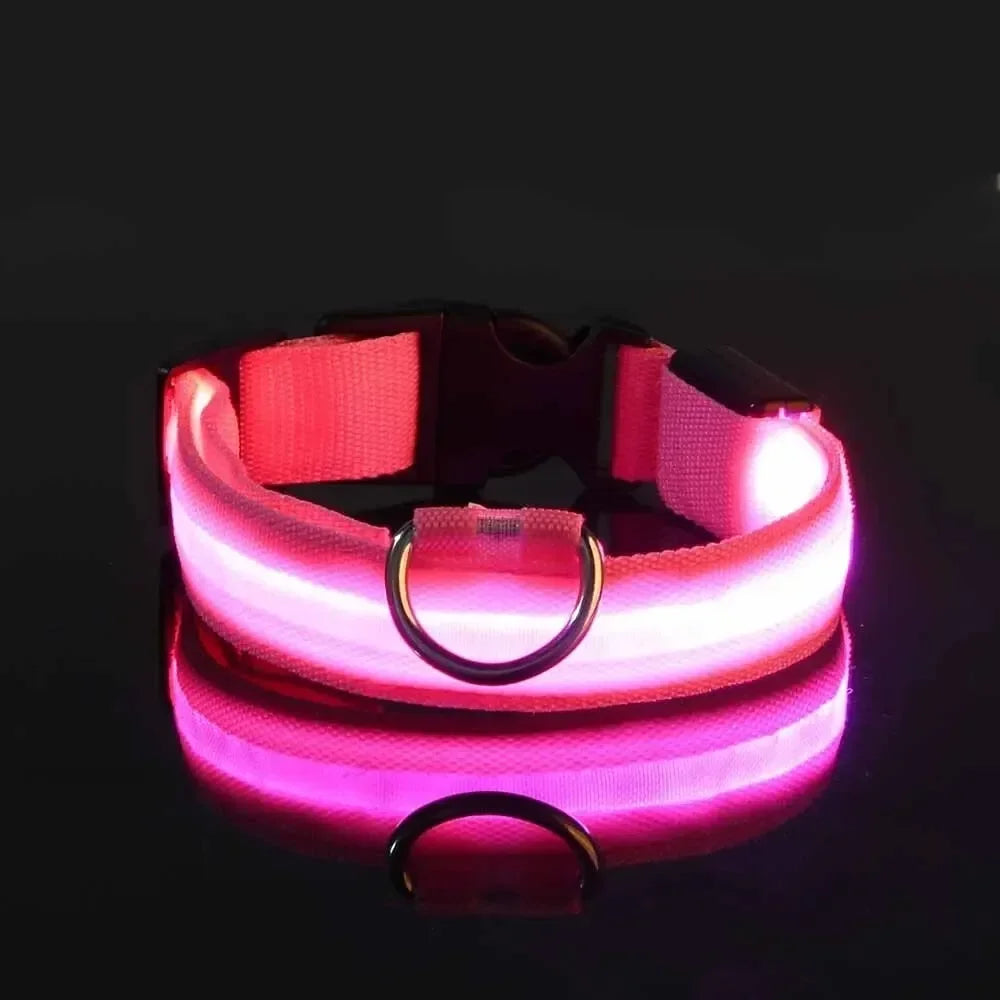 LED Safety Dog Collar – Rechargeable, Waterproof & Night Visibility