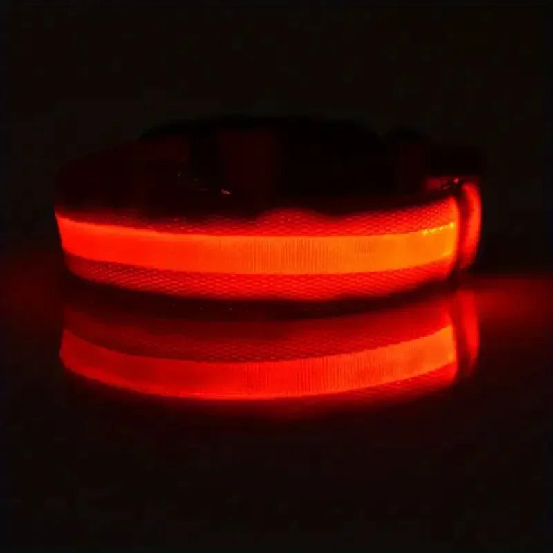 LED Safety Dog Collar – Rechargeable, Waterproof & Night Visibility