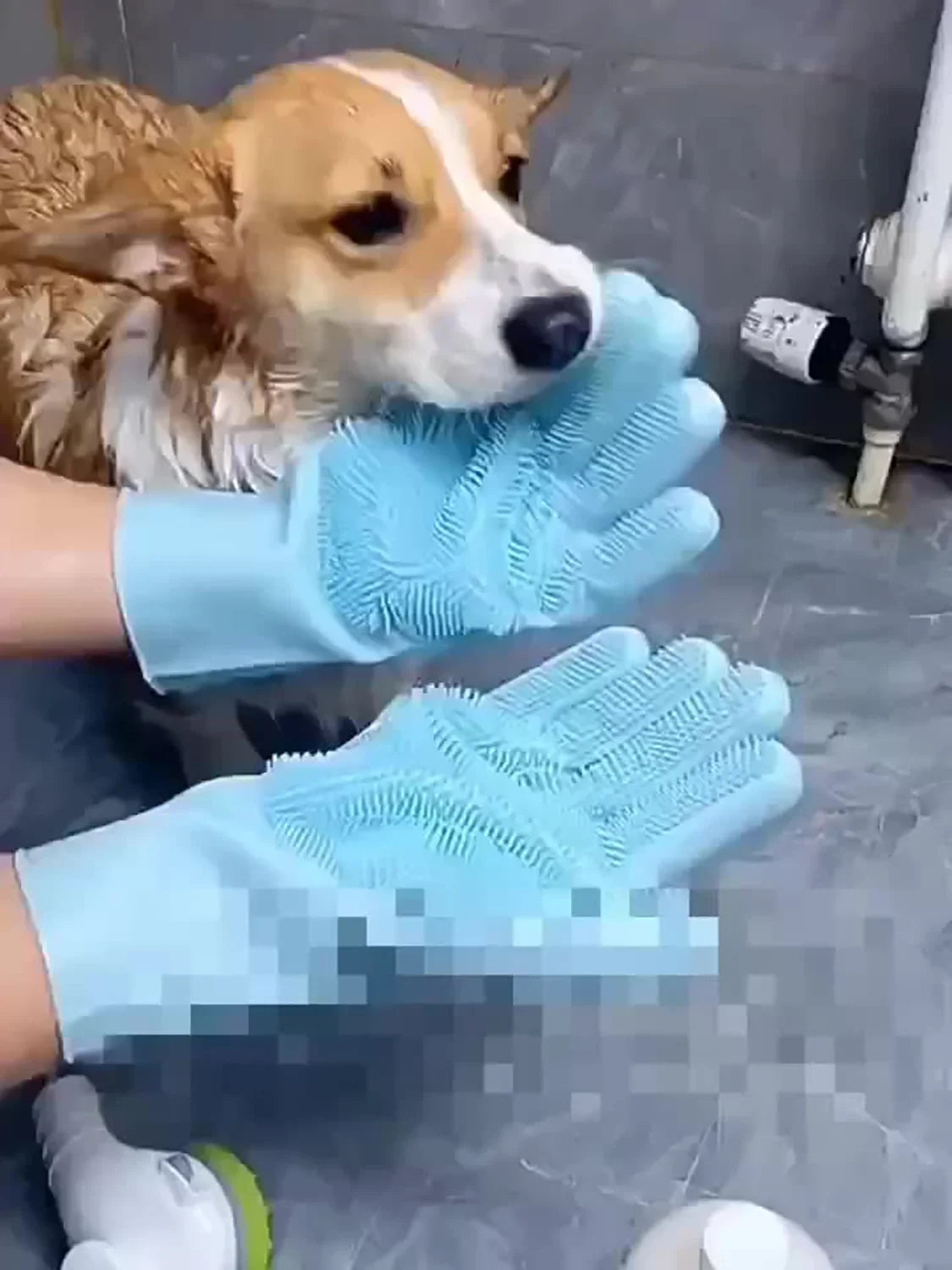 Pet Grooming & Bathing Glove – Silicone Deshedding Brush for Dogs & Cats