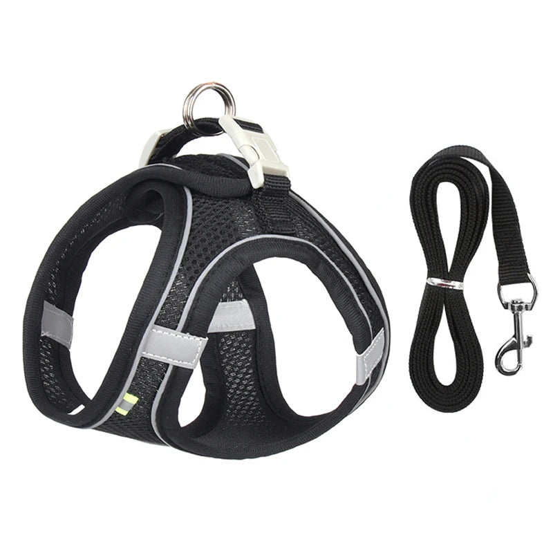 Dog Harness & Leash Set – Adjustable, Safe & Comfortable