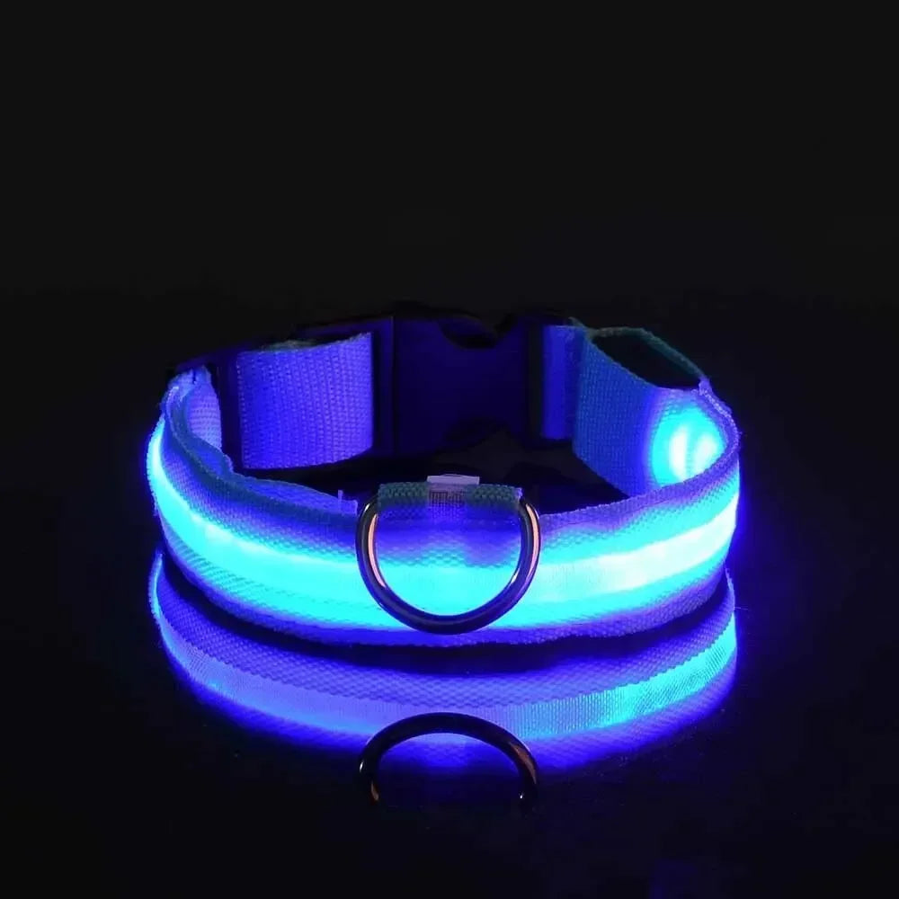 LED Safety Dog Collar – Rechargeable, Waterproof & Night Visibility