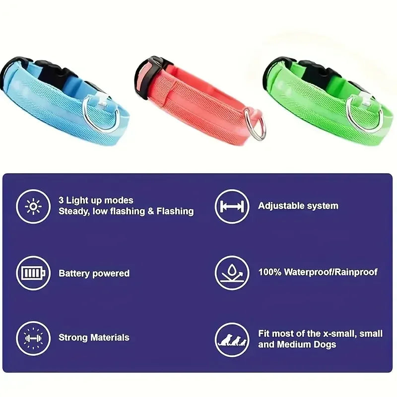 LED Safety Dog Collar – Rechargeable, Waterproof & Night Visibility