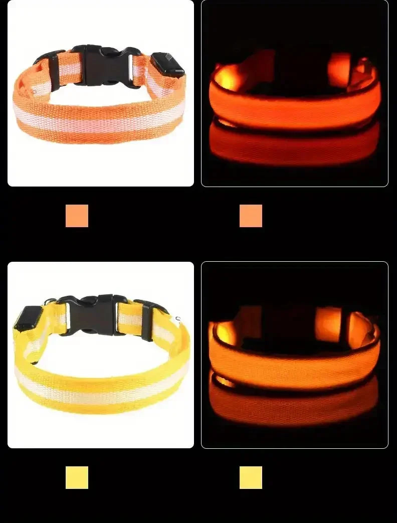 LED Safety Dog Collar – Rechargeable, Waterproof & Night Visibility