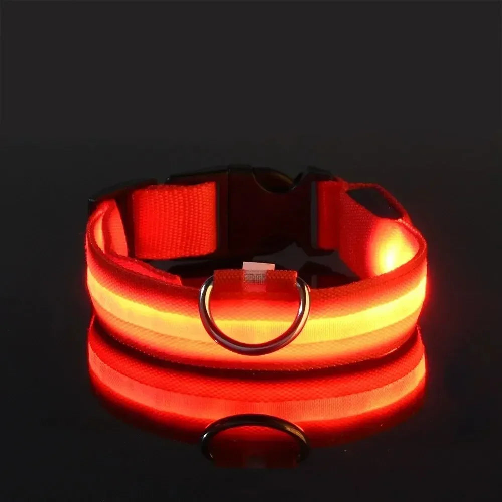 LED Safety Dog Collar – Rechargeable, Waterproof & Night Visibility