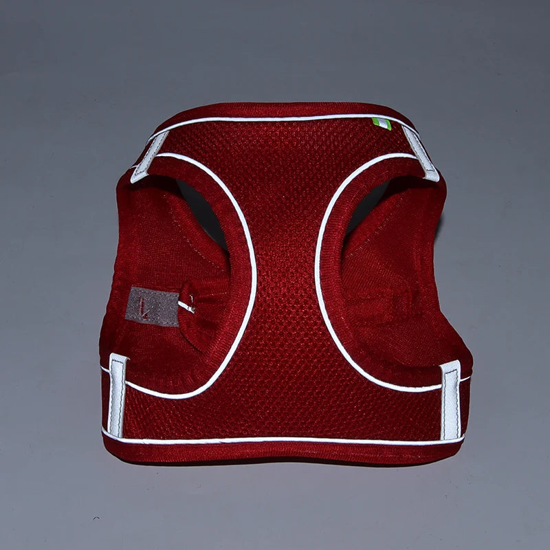 Dog Harness & Leash Set – Adjustable, Safe & Comfortable