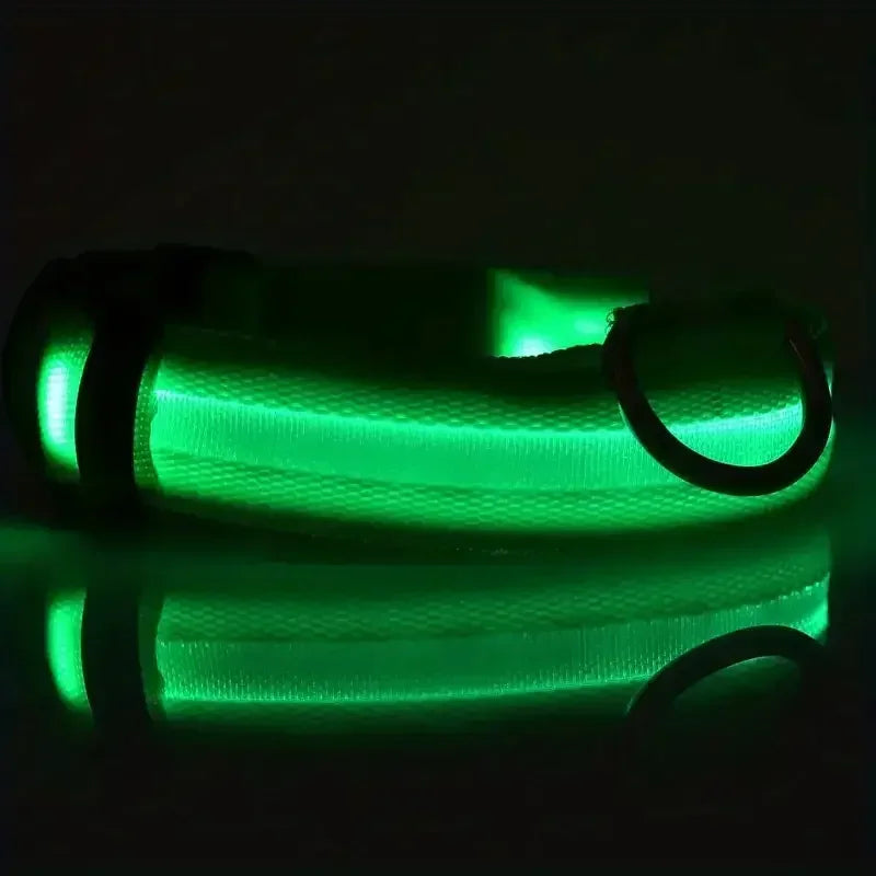 LED Safety Dog Collar – Rechargeable, Waterproof & Night Visibility