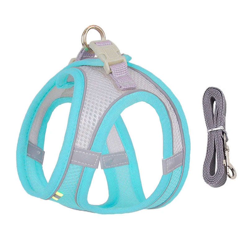 Dog Harness & Leash Set – Adjustable, Safe & Comfortable