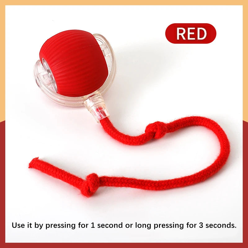 Smart Dog Toy Ball – Interactive, Rechargeable & Fun for Pets